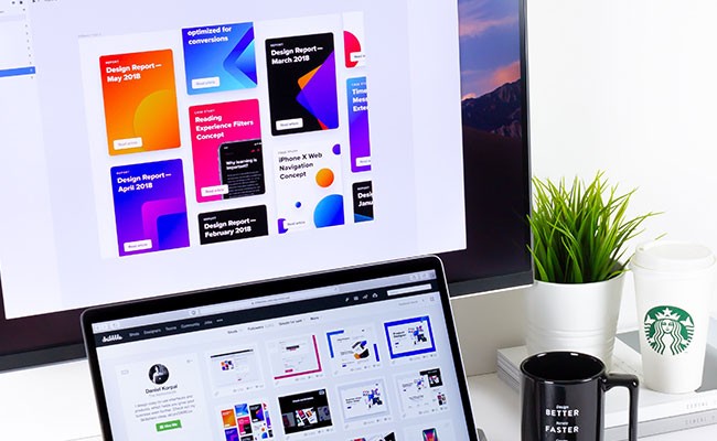 İlk Yardım Sertifikası Sorgulama Nasıl Yapılır?